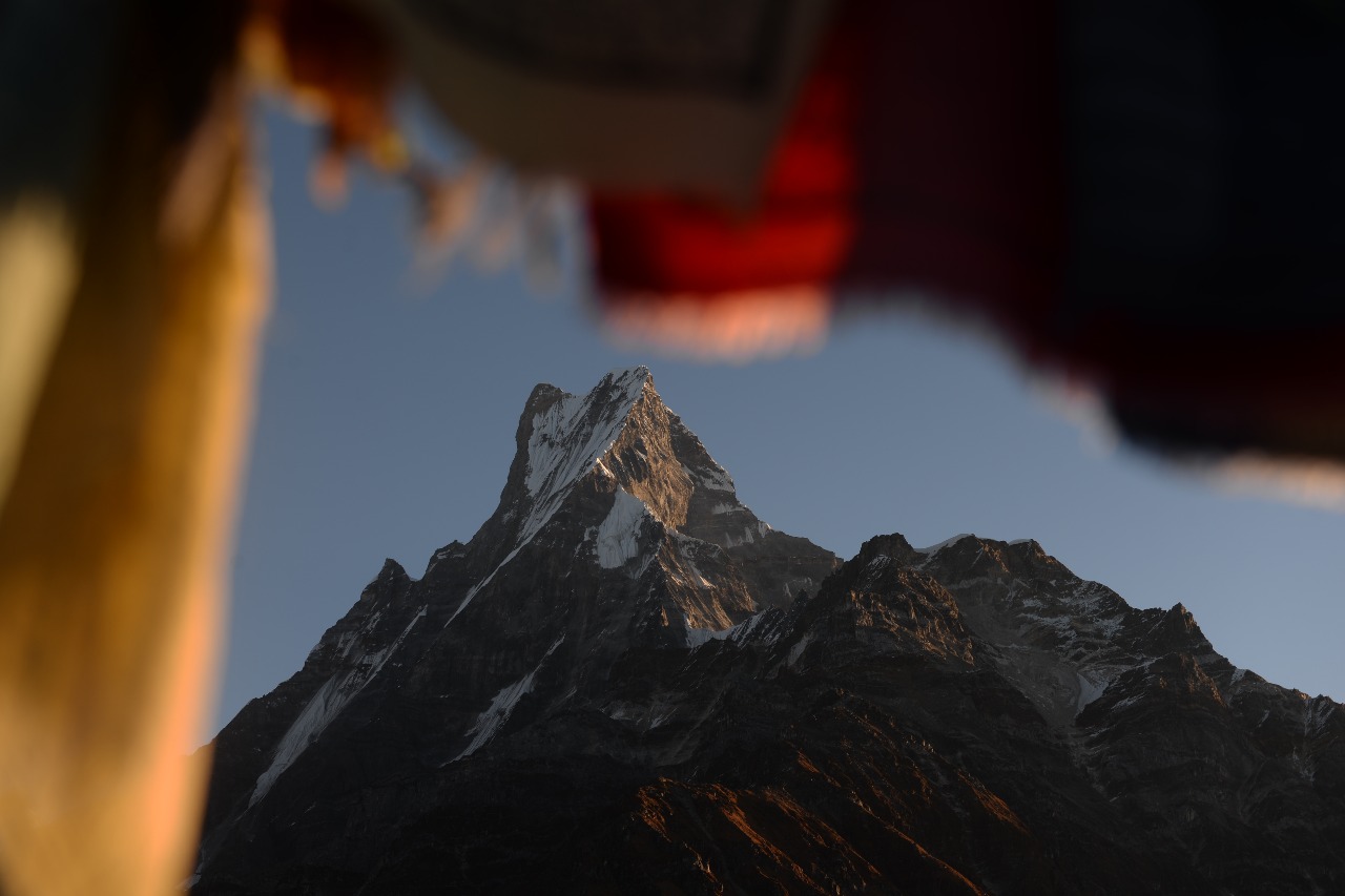 Tourism Industry Promotion